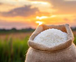 Rice sack rests in a golden field during a vibrant sunset close to harvest time photo