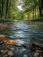 River flowing through colorful forest photo
