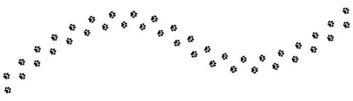 Cat and Dog Paw Prints. Animal Tracks for T Shirts, Patterns, Websites and More vector