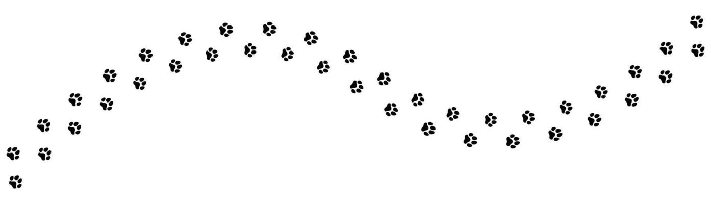 Cat and Dog Paw Prints. Animal Tracks for T Shirts, Patterns, Websites and More