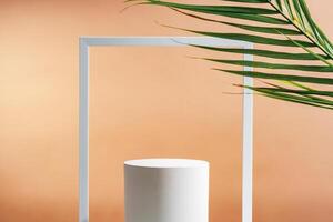 Minimalistic display of a white cylindrical object framed by a white rectangular border against a soft orange background photo