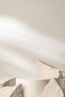 A minimalistic display featuring a smooth white cylinder surrounded by rough gray stone fragments photo