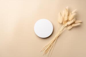 Beautiful Arrangement of Dried Grass and Circular Object on Soft Beige Background photo