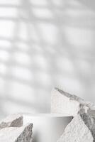 A minimalistic display featuring a smooth white cylinder surrounded by rough gray stone fragments photo