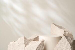 A minimalistic display featuring a smooth white cylinder surrounded by rough gray stone fragments photo