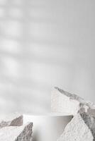 A minimalistic display featuring a smooth white cylinder surrounded by rough gray stone fragments photo