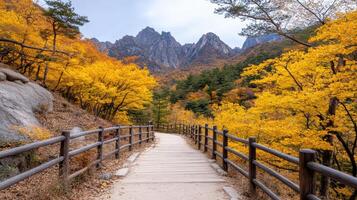 scenic pathway through vibrant autumn foliage and mountains photo