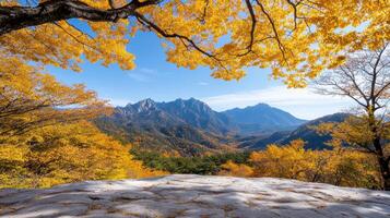 Stunning autumn foliage with vibrant yellow leaves and mountains photo