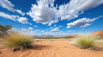 Vast Outback landscape with sandy terrain and dramatic clouds above photo