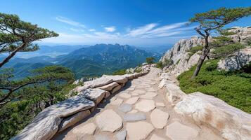 Stunning mountain views with scenic stone pathway and lush greenery photo