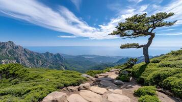 Stunning mountain view with lone tree and vibrant greenery photo