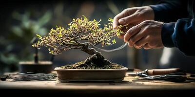 Hands shaping a bonsai tree with wire in a tranquil setting for artistic expression photo