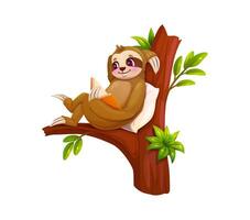 Cartoon lazy sloth animal character reading a book vector