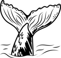 A hand drawn icon of whale tail vector