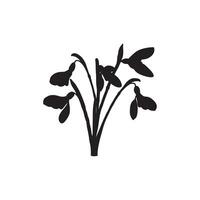 Black silhouette of snowdrop flowers with drooping petals and stems, displayed on a white background in minimalist style. vector
