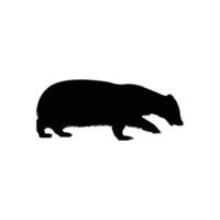 Silhouette of a honey badger standing sideways, isolated on white background vector