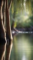 A serene river with reflections of vertical tree trunks in gentle focus, leaving clear space in the water for design. photo