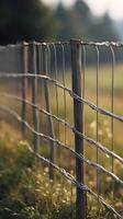 A minimalist view of a vertical wire fence, softly focused with ample blank background space. photo