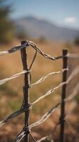A minimalist vertical photo of a wire fence, gently blurred with open space in the background for emphasis.