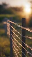 A clean vertical image of a wire fence with a soft-focus effect, complemented by abundant empty space behind. photo