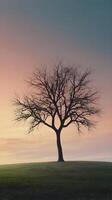 A clean, minimalist scene with a single tree silhouette, set against a soft pastel gradient sky, providing space for text. photo