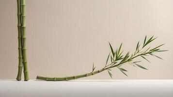 A minimalist design with bamboo stalks set on a neutral background, representing adaptability and strength, and space at the bottom for a message. photo