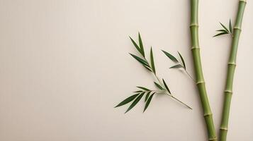 A few bamboo stalks on a soft, neutral background, symbolizing strength and flexibility, with clear space at the bottom for text placement. photo