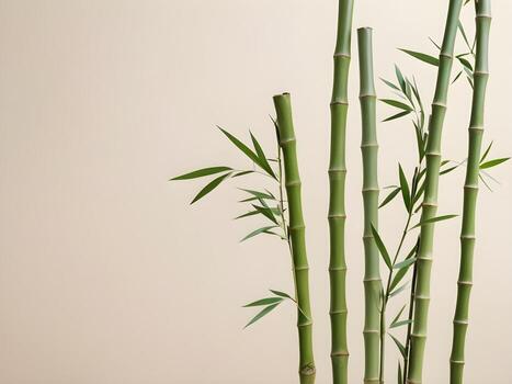 A tranquil design featuring bamboo stalks against a neutral backdrop, symbolizing resilience and strength, with ample open space for text at the bottom. photo