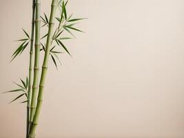 A minimalist bamboo design on a neutral surface, representing strength and adaptability, with space at the bottom for text or a greeting. photo