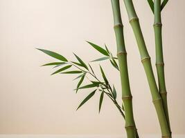 A few bamboo stalks gently arranged on a neutral background, symbolizing strength and flexibility, leaving plenty of room at the bottom for a message. photo