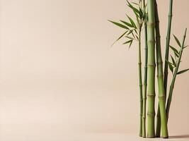 A minimalist composition showcasing bamboo stalks on a neutral background, representing strength and flexibility, with open space for a message at the bottom. photo