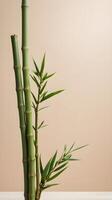 A simple design with a few bamboo stalks set against a neutral backdrop, symbolizing resilience and adaptability, with plenty of space at the bottom for text. photo