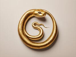 The 2025 Chinese Zodiac snake symbol in gold or red, designed with a plain background to allow space for a logo or text. photo