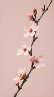 A minimalist illustration of a peach blossom branch with tender pink flowers, set on a muted pastel backdrop, leaving room for a text message at the top. photo
