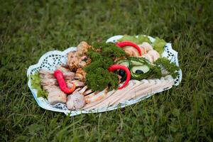 Decorative Platter with Meats, Vegetables, and Herbs on Grass photo