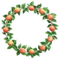 Peach Wreath with Leaves and Fruit png