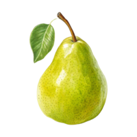 Photorealistic Green Pear with Glossy Skin and Single Leaf in High Resolution Botanical Photography png