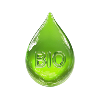 ein Single Grün bio Treibstoff fallen Anzeigen das Wort bio png