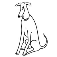 thin sad dog in line doodle style vector