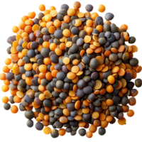 Colorful assortment of lentils on a white background suitable for culinary and nutritional uses isolated on transparent background png