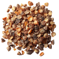Moringa seeds displayed on a white surface showcasing their natural brown hues and varied sizes under soft lighting isolated on transparent background png