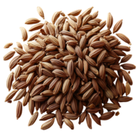 Cumin seeds arranged in a neat pile showcasing their earthy tones and texture for culinary inspiration isolated on transparent background png