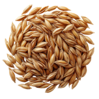 Seeds displayed on a white background showcasing natural color and texture for agricultural use and food production isolated on transparent background png