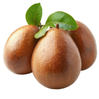 Fresh sapodilla fruits arranged together with green leaves on a white background, showcasing their rich texture and color isolated on transparent background png
