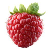 Fresh raspberry showcasing vibrant color and texture with leafy green top against a white background isolated on transparent background png
