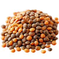 Variety of lentils piled together, showcasing different colors and textures in a close-up view of dry legumes isolated on transparent background png