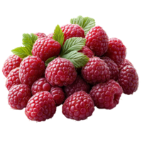 Fresh ripe raspberries with vibrant green leaves piled together showcasing their texture and color in a natural setting isolated on transparent background png