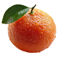 Freshly washed mandarin orange with dew drops on its surface and a green leaf, highlighting its vibrant color and texture isolated on transparent background png