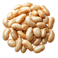 Variety of dried beans arranged on a flat surface showcasing their smooth texture and natural color isolated on transparent background png