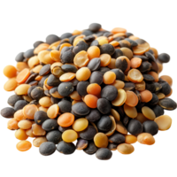 Diverse assortment of lentils displayed on a white background showcasing various colors and sizes in a bright kitchen setting isolated on transparent background png